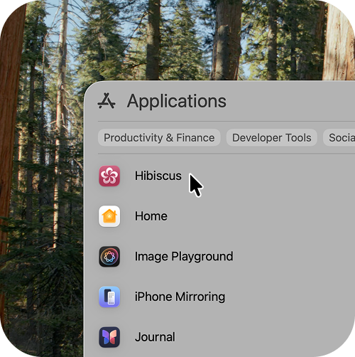 Hibiscus in the macOS Applications folder